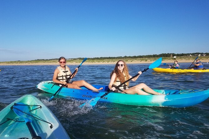 Sunset Dolphin Kayak Tours - Safety and Guidelines