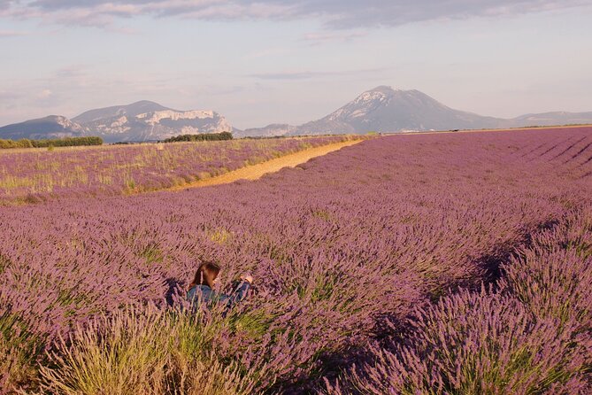 Sunset Lavender Tour in Valensole With Pickup From Marseille - Logistics and Meeting Point Details