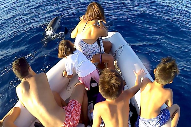 Sustainable Dolphin Watching Tour With Marine Biologist  - Sicily - Cancellation Policy Details