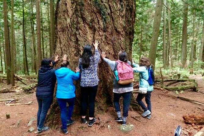 Talking Trees: Stanley Park Indigenous Walking Tour Led by a First Nations Guide - Common questions