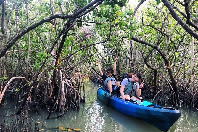 Thousand Island Mangrove Tunnel, Manatee & Dolphin Kayak Tour W/Cocoa Kayaking - Directions