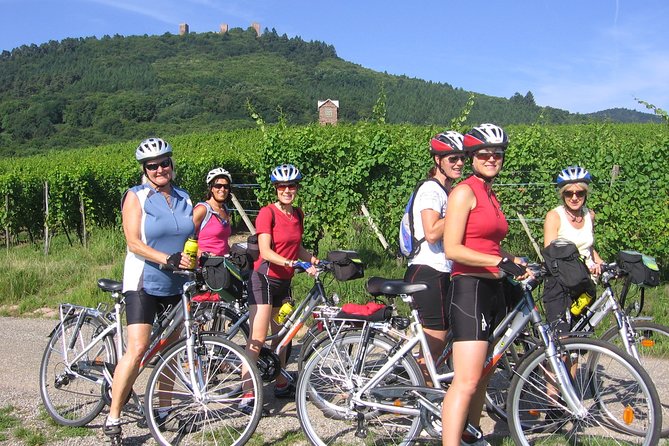 Through Alsace Vineyards and Wine Villages Private Bike Tour - Pricing and Contact Details