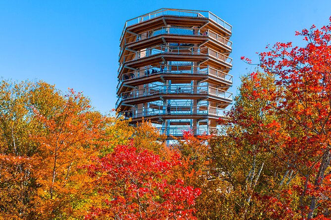 Ticket to Mont Tremblant Treetop Observatory and Walk - What to Expect