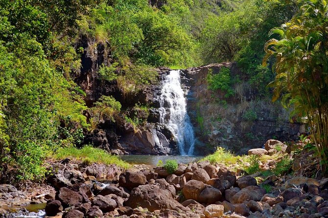 Tour of North Shore & Waimea Waterfall - Cancellation and Refund Policy