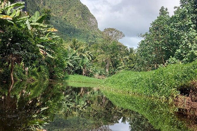 Tour Tour Guide Tahiti - Final Words