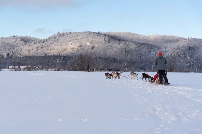 Ultimate Dog Sledding Tour - Day Trip From Ottawa & Gatineau - Contact and Support