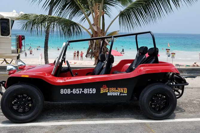 Unique Buggy Rental on the Big Island, Hawaii - Rental Pricing and Options