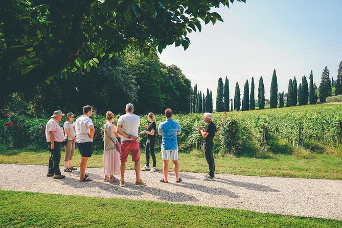 Valpolicella and Amarone Wine-Tasting Tour From Verona - Tour Duration and Group Size