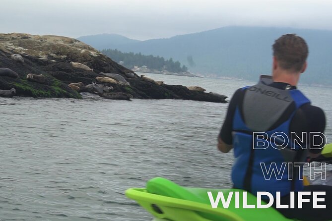 Vancouver to English Bay and Howe Sound Jet Ski Tour - Final Words