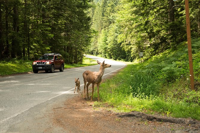 Viator Exclusive Tour- Olympic National Park Tour From Seattle - Booking Information and Contact Details