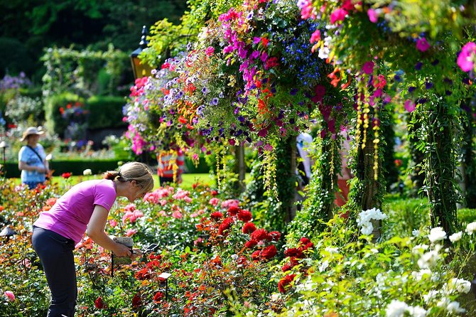 Victoria and Butchart Gardens Tour From Vancouver - Customer Experience