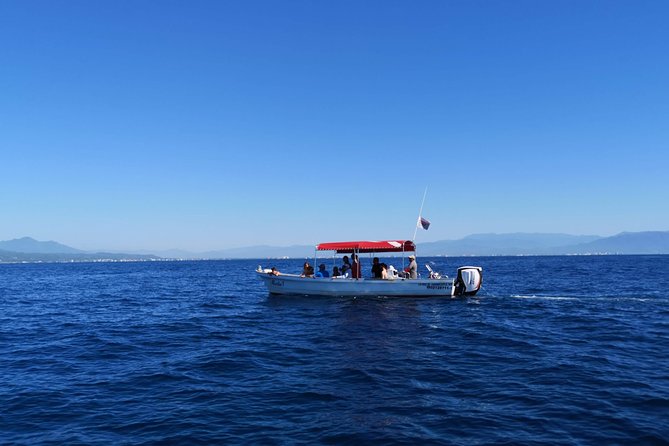 Whale Encounter Puerto Vallarta - Safety Measures