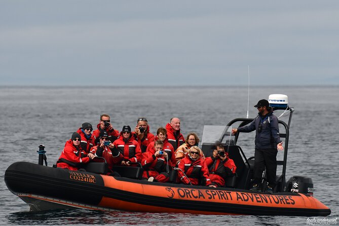 Whale Watching Tour in a Zodiac Boat in Victoria - Common questions