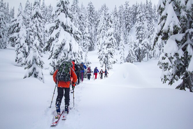 Whistler Intro to Backcountry Skiing and Splitboarding - Common questions