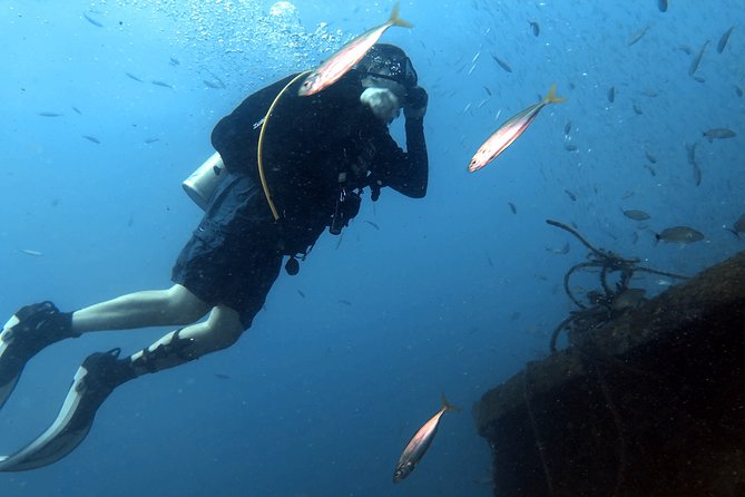 Wreck and Bridge Span Dive Charter for Certified Divers - Common questions