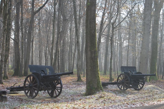 WWI Belleau Wood & Meaux Museum of the Great War Private Day Trip From Paris - Visitor Experience Highlights