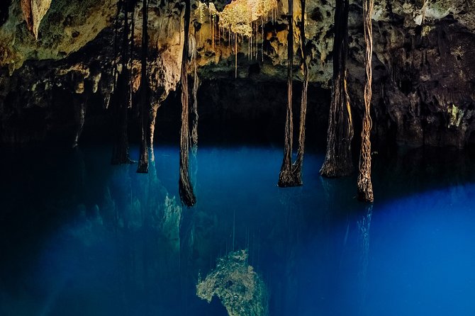 Xcaret Cenotes Guided Tour With Priority Acces, Lunch and Drinks - Final Words