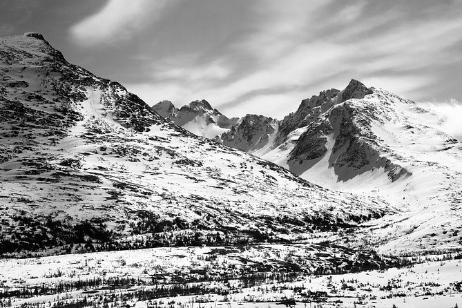 Yukon Suspension Bridge and Summit Tour - Common questions