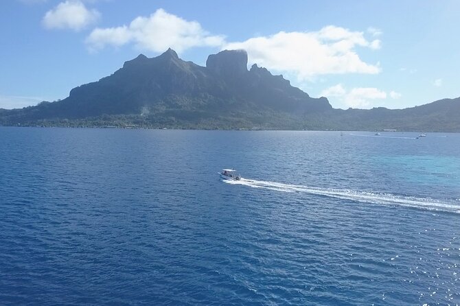 2 Dives in the Morning for Certified Divers in Bora Bora - Common questions