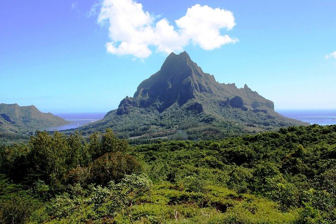 4x4 Moorea Safari Tours : - Product Details