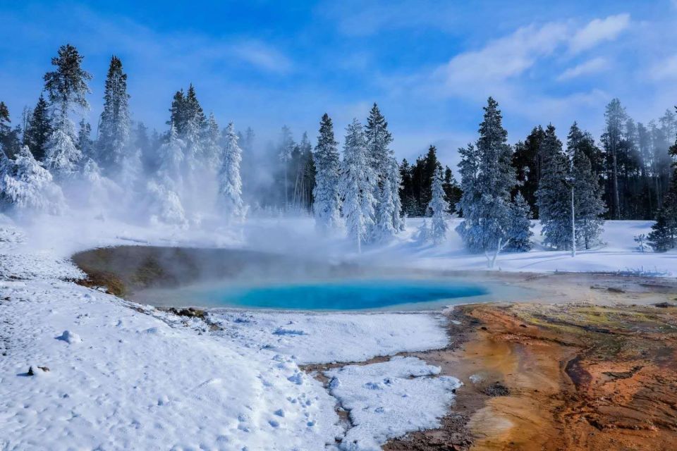 5-Day Winter Yellowstone Wildlife Tour - Pricing and Additional Costs