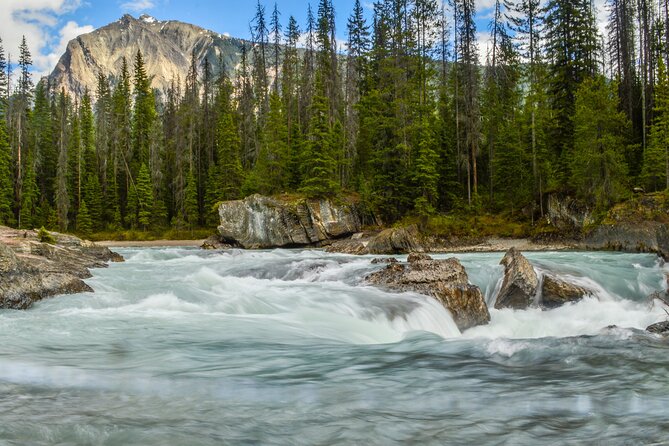 5 Days Rockies Camping & Wildlife Photography - Final Words