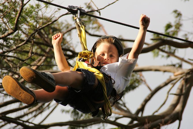 7-Line Maui Zipline Tour on the North Shore - Common questions