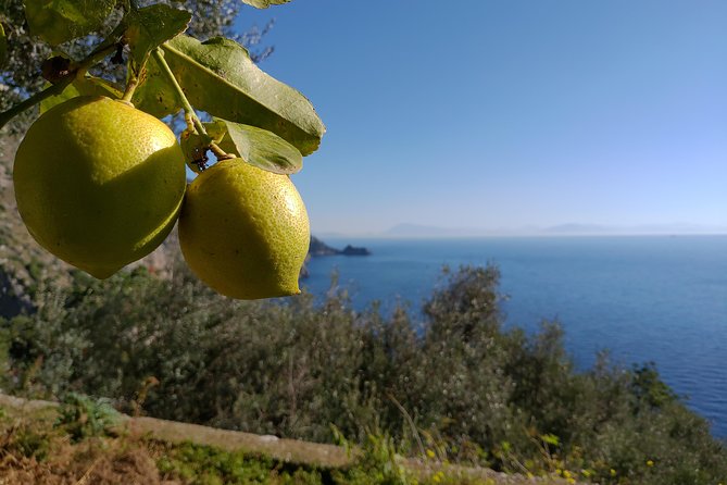 Amalfi Coast Home Cooking Class With Meal & Drinks Included - Hosts Expertise and Local Touch