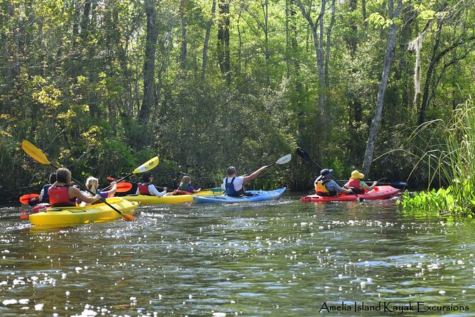 Amelia Island Kayaking Tour  - Jacksonville - Final Words