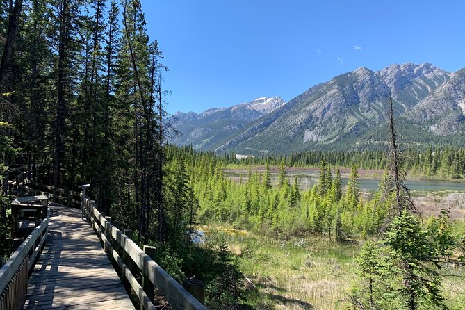 Banff National Park Small-Group Walking Tour - Tour Highlights