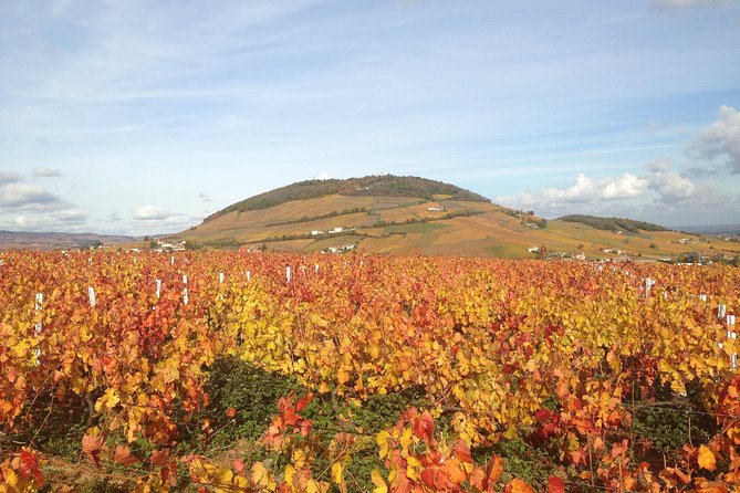 Beaujolais Crus Wines & Castles (9:00 Am - 1:30 Pm) - Small Group Tour From Lyon - Pricing and Booking Information