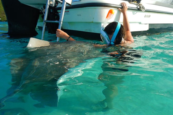 Boat Tour 1/2 Day Excursion in the Lagoon of Moorea - What to Bring