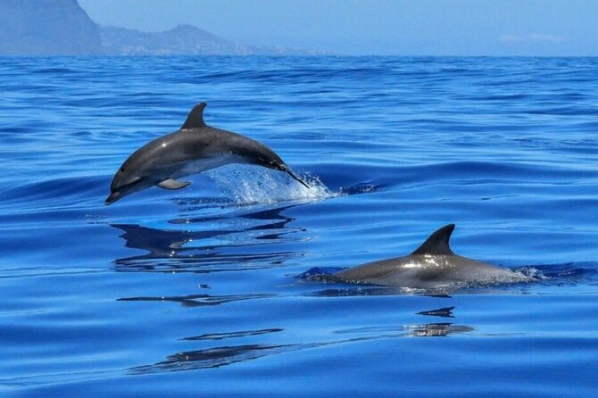 Boat Tour From Giardini Naxos to Taormina Including Isola Bella and the Blue Grotto - Final Words