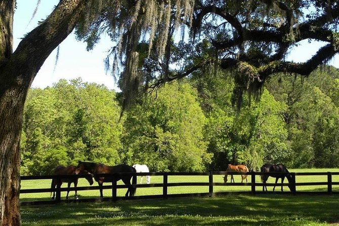 Boone Hall Plantation All-Access Admission Ticket - Common questions