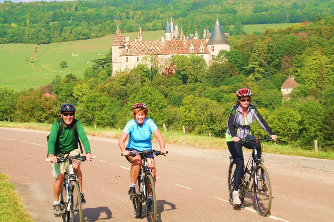 Burgundy Bike Tour With Wine Tasting From Beaune - Common questions