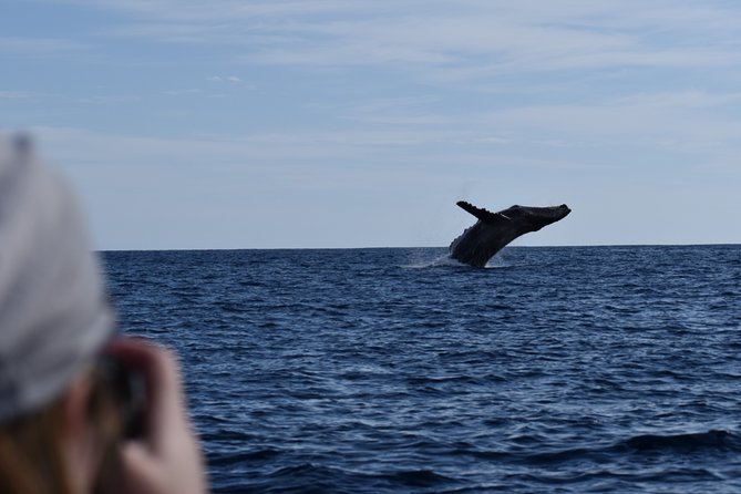 Cabo San Lucas Whale Watching Tour With Photos Included - Cancellation Policy and Refund Details