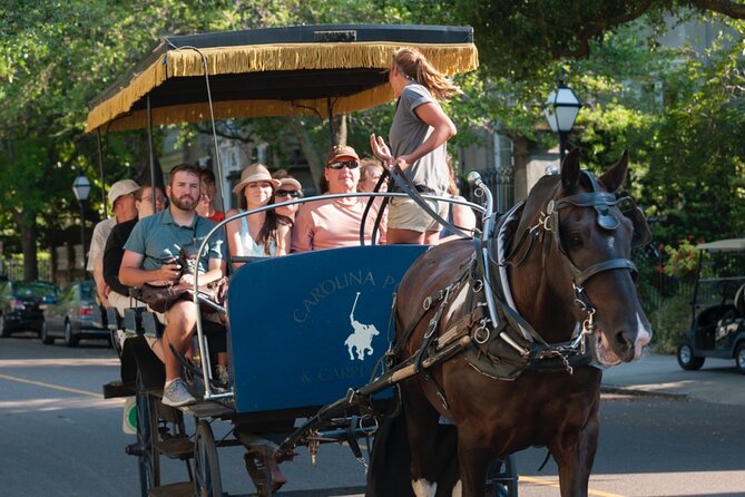 Charleston Horse & Carriage Historic Sightseeing Tour - Cancellation Policy Details