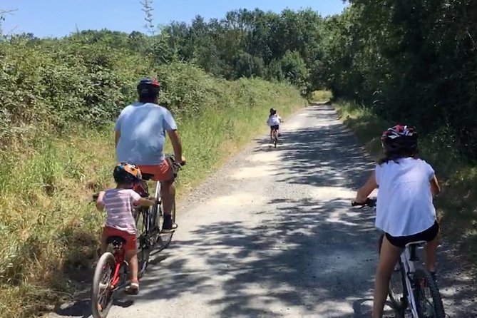 Chinon Wine Tour by Bike With Picnic Lunch - Common questions