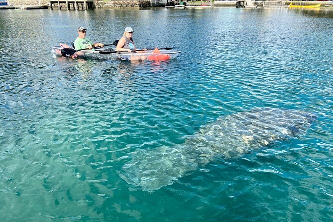 Clear Kayak Tour of Crystal River - Additional Tips