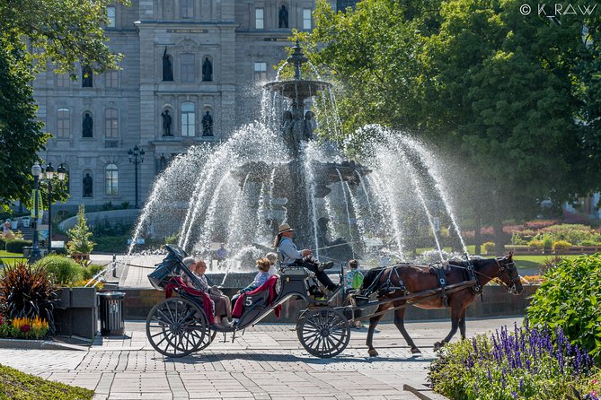 Discover Quebec With a Private 4-Hour City Tour - Customer Satisfaction and Experiences