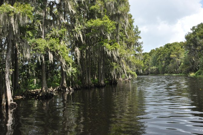 Everglades Airboat Tour Near Orlando Florida - Cultural Insights