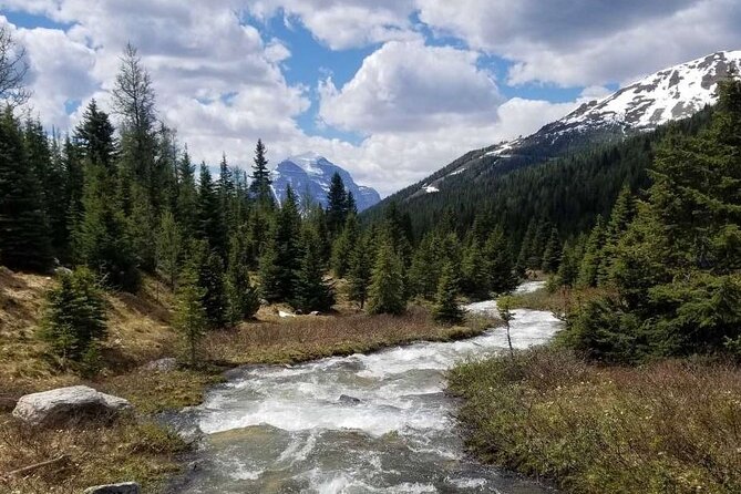 Exclusive Skoki Backcountry Guided Hiking in Lake Louise With Van Shuttle - Common questions