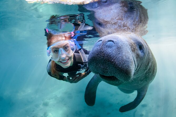 Florida Manatees, Nature Park, and Airboat Tour From Orlando - Additional Information