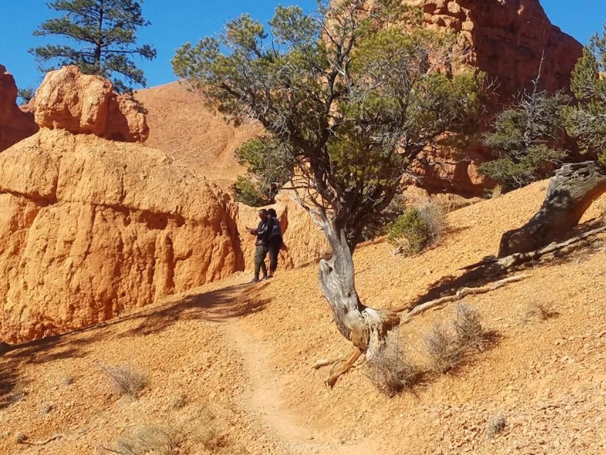 From Las Vegas: Zion and Bryce Canyon Guided Day Tour - Booking Information