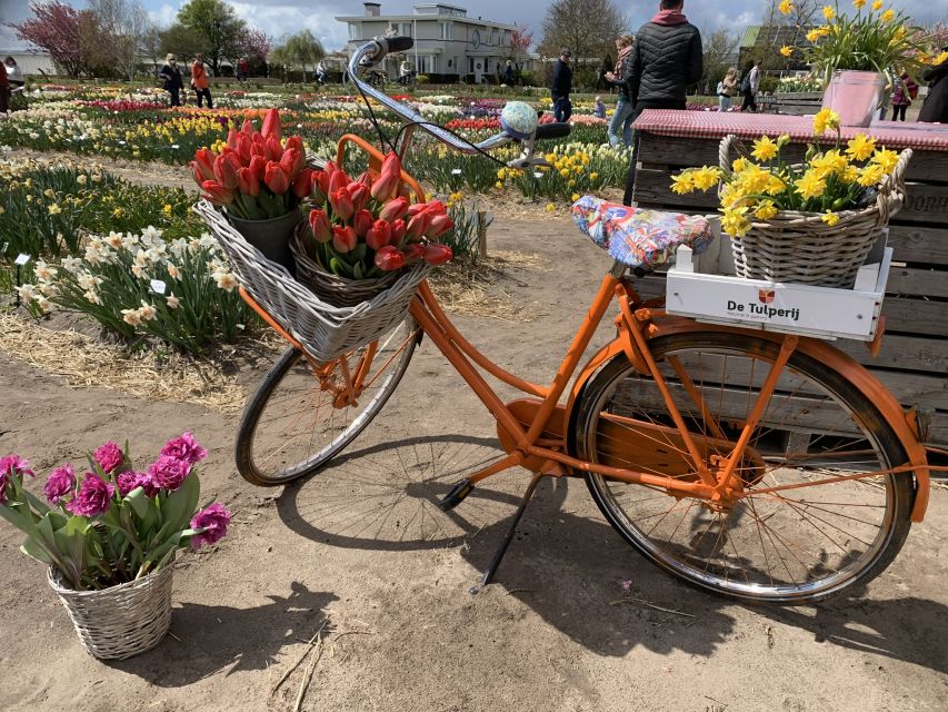 From Lisse: Flower Bike Tour Along Keukenhof and De Tulperij - Directions