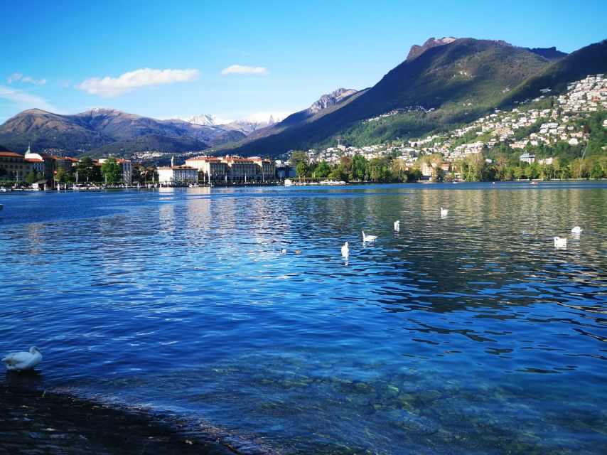 From Milan: Lake Como, Swiss Alps & Lugano Small Group Tour - Recommendations and Feedback