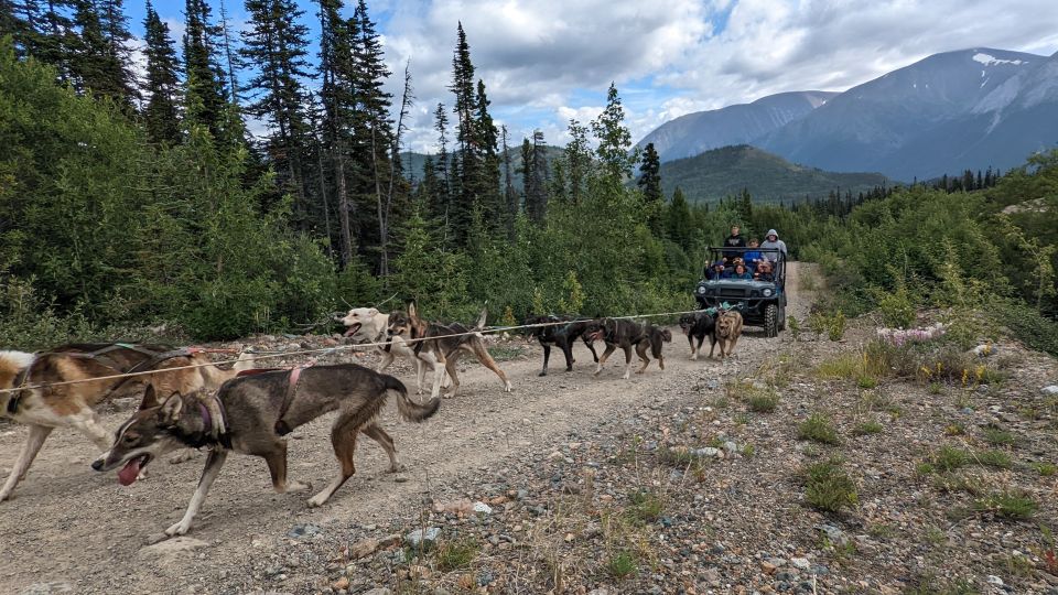 From Skagway: Yukon Sled Dog Mushing & White Pass Combo - Directions