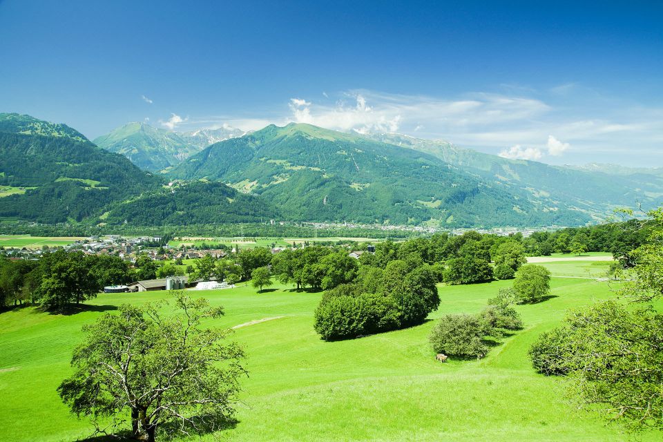 From Zurich: Private Trip to Liechtenstein and Heidiland - Inclusions and Recommendations