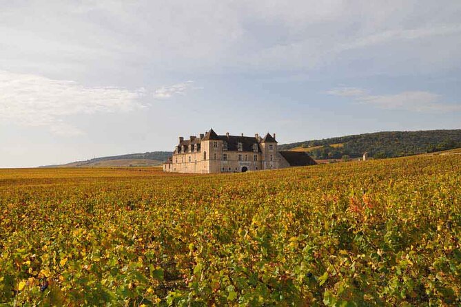 Full Day Private Tour 10 Premiers & Grands Crus, The Best of Burgundy - Pricing Details
