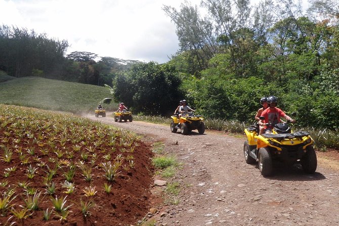 Grand Tour Quad 3h30 Quad Excursion in Moorea (Single or Two-Seater) - Final Words